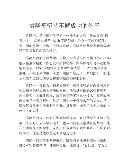 袁隆平坚持不懈成功的例子