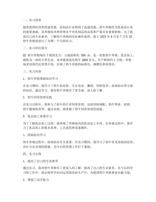 奶牛养殖实习报告