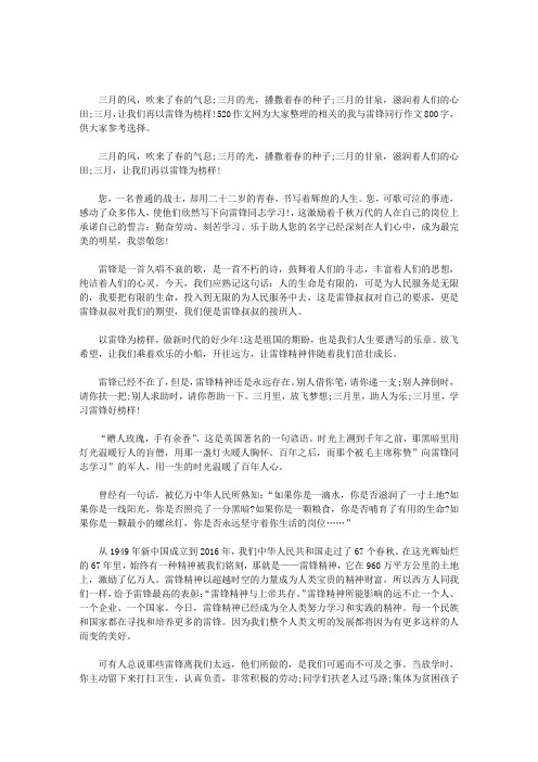 我与雷锋同行作文800字