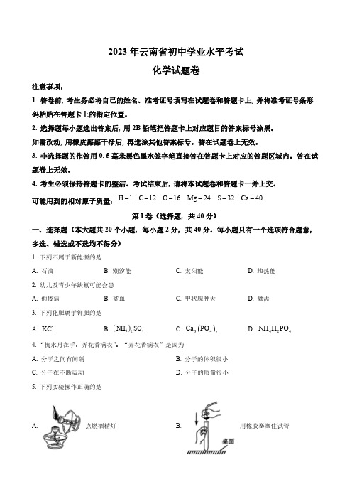 2023年云南省中考化学真题卷(含答案与解析)