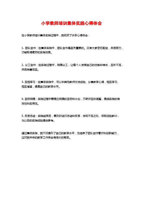 小学教师培训集体实践心得体会