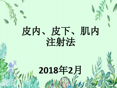 皮内、皮下、肌内注射法PPT幻灯片