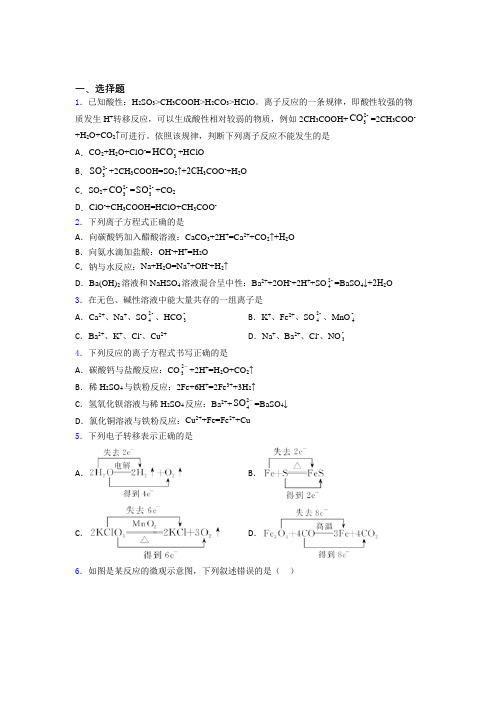 广州市中大附中高中化学必修一第一章《物质及其变化》经典测试卷(课后培优)