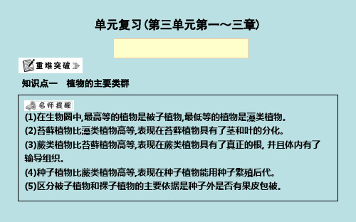 (新人教版)七年级生物上册第三单元第1-3章复习课件