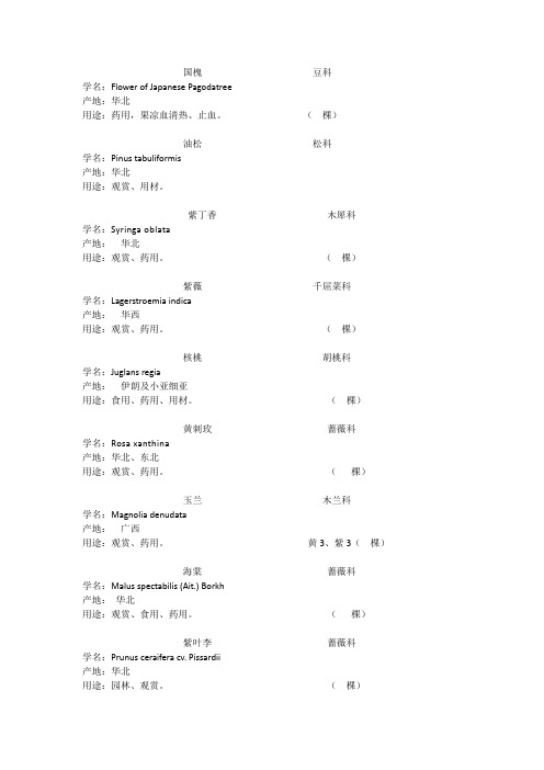 校园常见植物中英文名牌