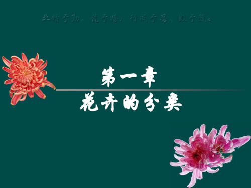 花卉学课件  第一章 花卉分类