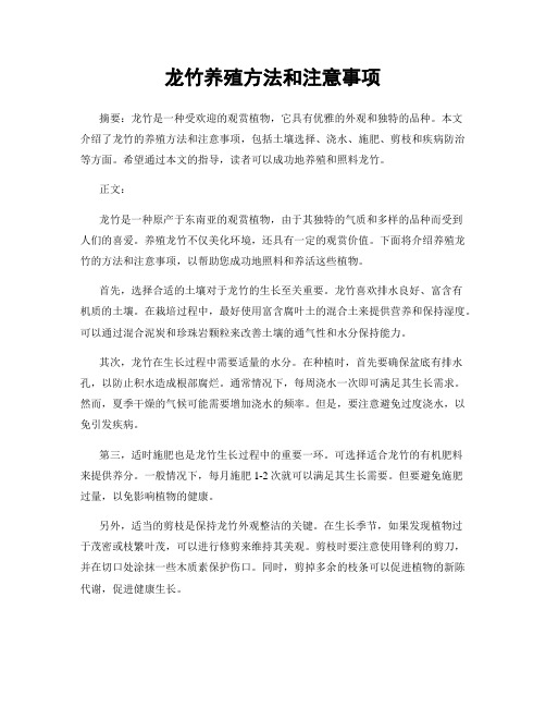 龙竹养殖方法和注意事项