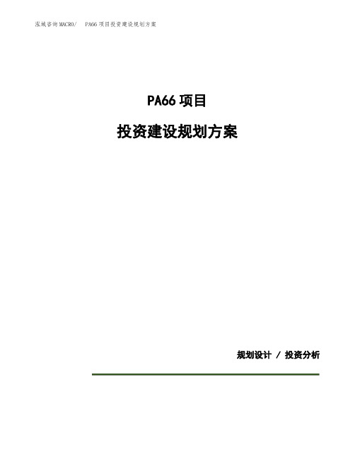 PA66项目投资建设规划方案(模板)