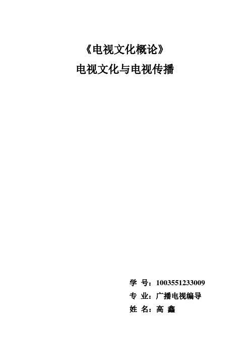 电视文化概论