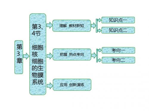 高中生物北师大版必修一课件：第3章 第3、4节 细胞核 细胞的生物膜系统