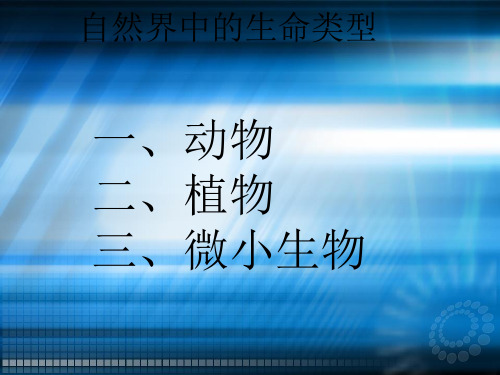 六年级上册科学1病毒ppt课件