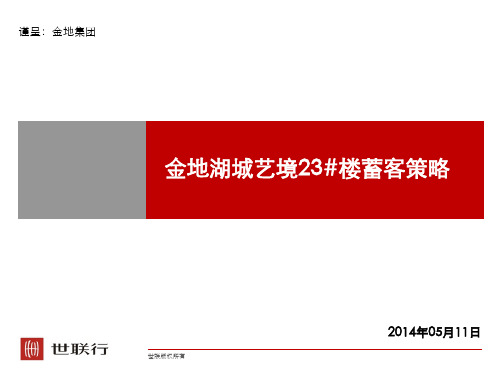 南京_金地湖城艺境_23#蓄客策略报告(1)