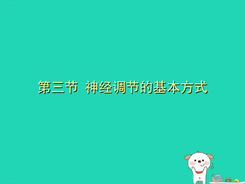 人教版生物《神经调节的基本方式》优秀课件1