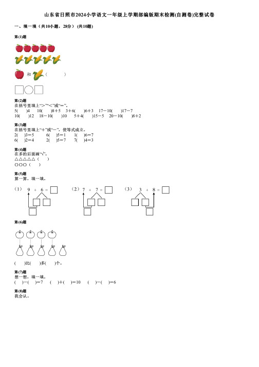 山东省日照市2024小学数学一年级上学期部编版期末检测(自测卷)完整试卷