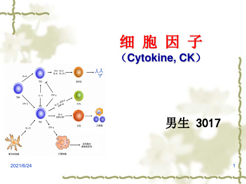 细胞因子免疫学