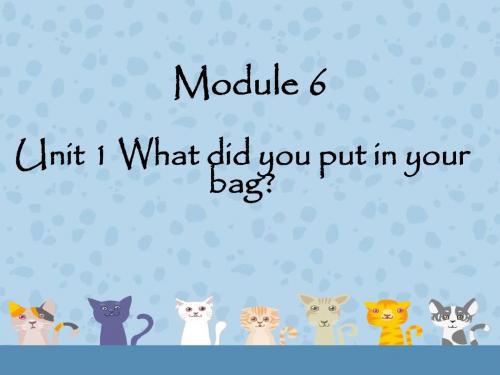 Module 10 Unit 1 What did you put in your bag 课件1