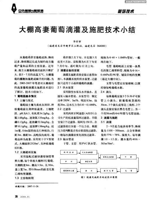 大棚高妻葡萄滴灌及施肥技术小结