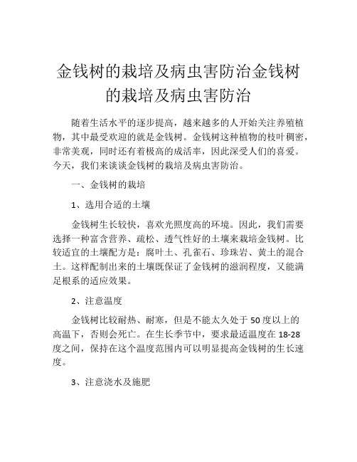 金钱树的栽培及病虫害防治金钱树的栽培及病虫害防治