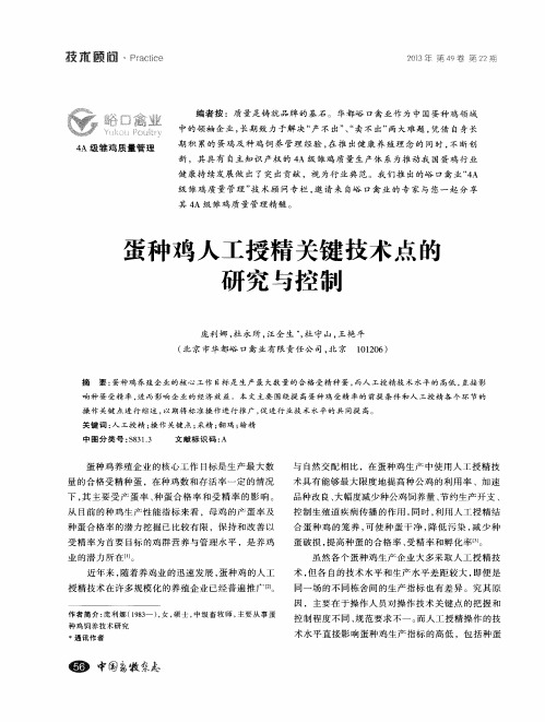 蛋种鸡人工授精关键技术点的研究与控制