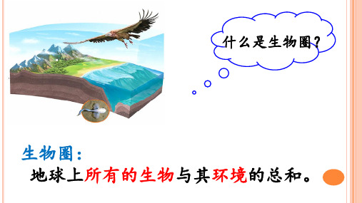 人教版七年级上册第一单元第二章 第一节 生物与环境的关系课件 (共67张PPT)