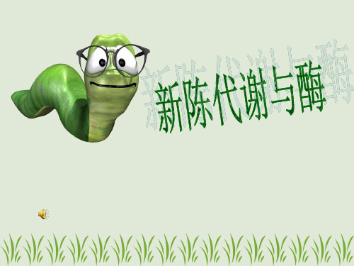 【高中生物】新陈代谢与酶ppt16(说课)
