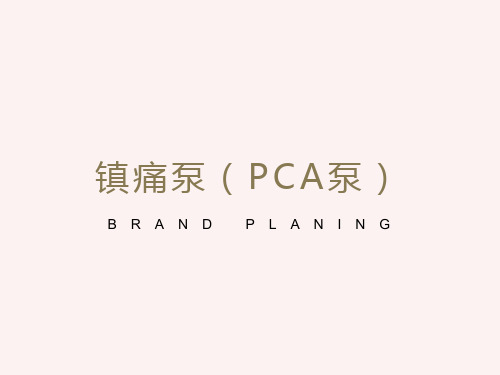 镇痛泵(PCA泵)