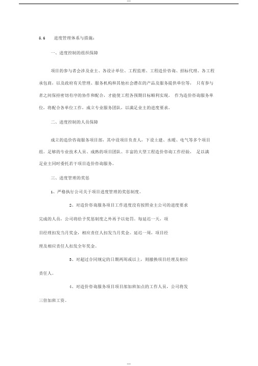 造价咨询进度管理体系与措施