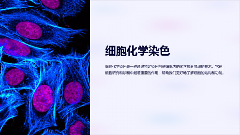 《细胞化学染色》课件