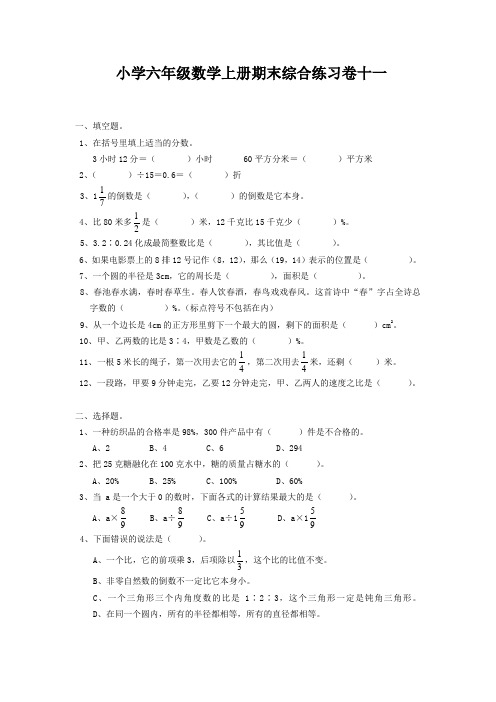 人教版小学六年级数学上册期末综合练习卷十一