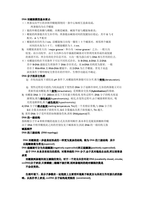 DNA双螺旋模型基本要点