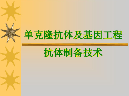 单克隆抗体及基因工程抗体制备技术