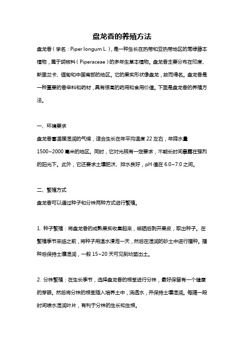 盘龙香的养殖方法