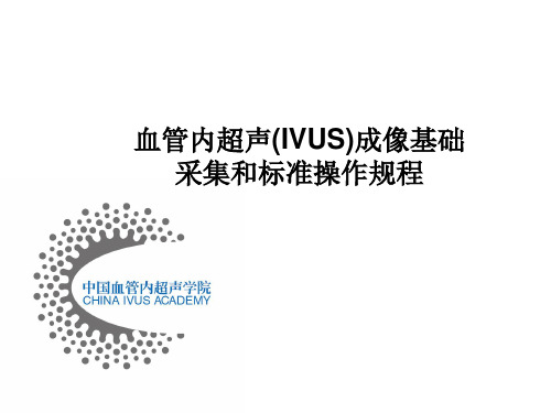 IVUS图像采集及标准流程