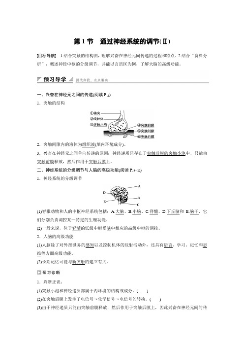 2018版高中生物必修三学案：2-1 通过神经系统的调节Ⅱ