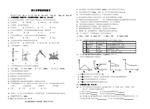 初三化学适应性练习