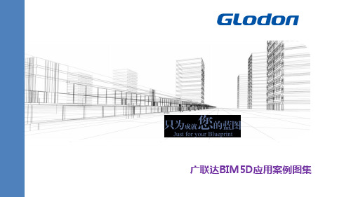 BIM5D应用图集