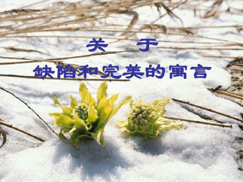 高三语文缺陷与完满