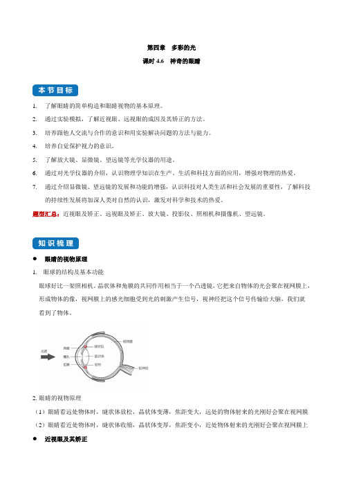 4.6 神奇的眼睛(解析版) 八年级物理