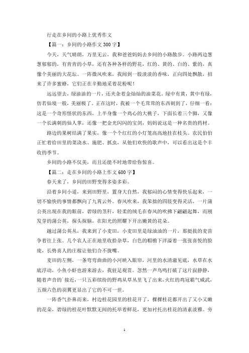 行走在乡间的小路上优秀作文(最新)