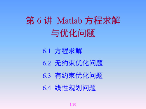 第6讲  Matlab 方程求解与优化问题