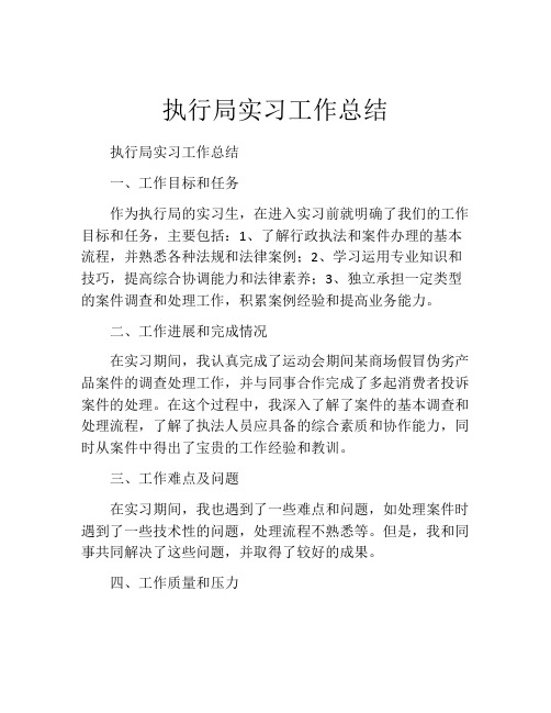 执行局实习工作总结