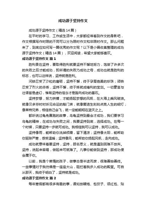 成功源于坚持作文（精选14篇）