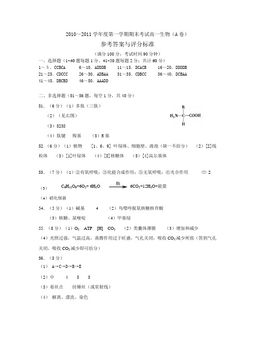 石家庄市2010-2011学年度第一学期期末考试试卷高一生物