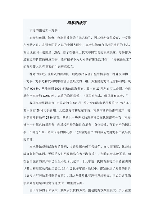 海参的故事——精选推荐