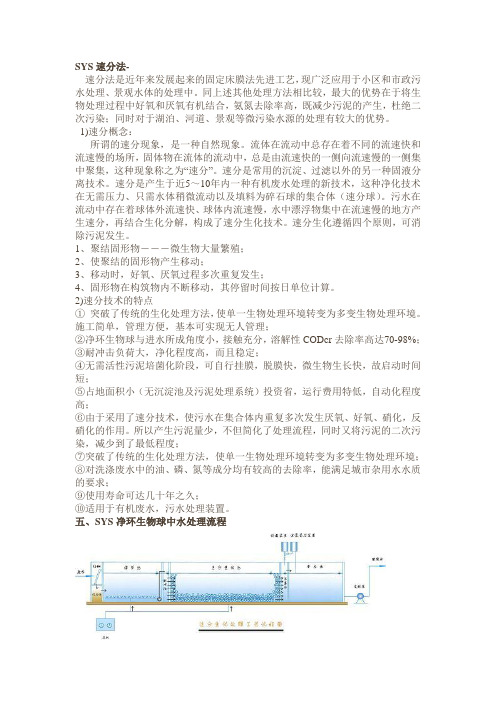 SYS速分法