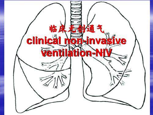 无创呼吸机使用 ppt课件