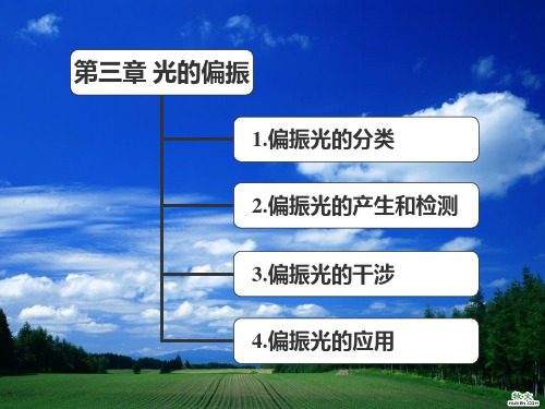 南开大学姚江宏特色大学物理课件光学3-1