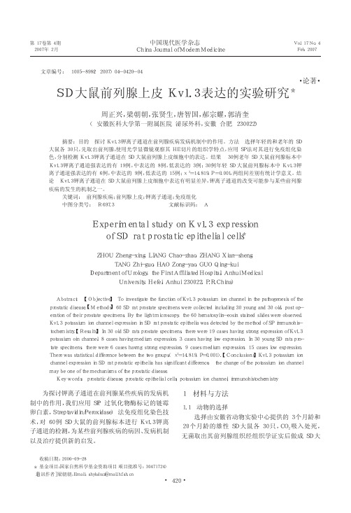 SD大鼠前列腺上皮Kv1_3表达的实验研究