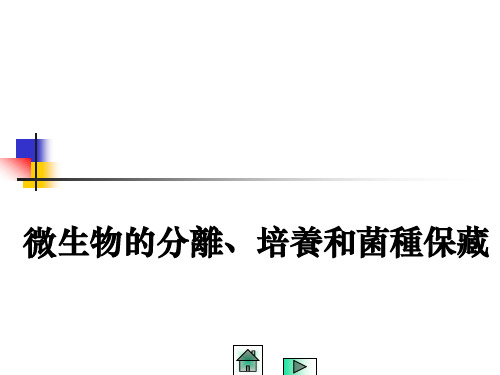 微生物的分离、培养和菌种保藏 PPT课件