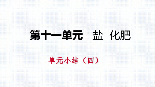 人教版九年级化学下册第十一单元盐 化肥复习课件(共24张PPT)